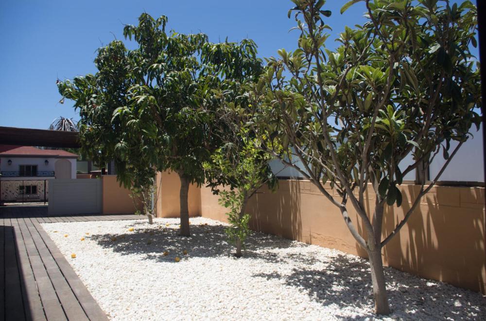 Villa La Marosca - Jacuzzi, Private Pool, 3 Bedrooms Caleta de Fuste Extérieur photo